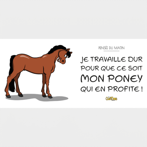 Mug travailler dur pour mon poney - Les Quétons