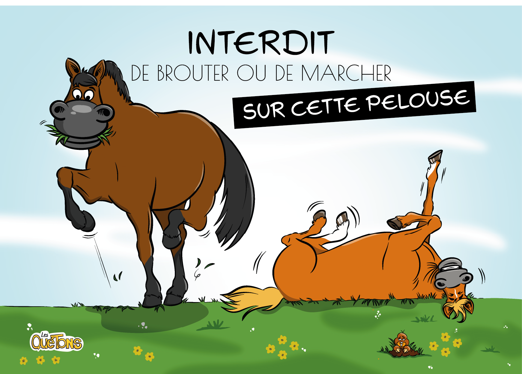Plaque Pelouse Interdite – Image 2
